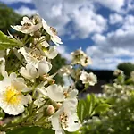 公寓 Loft-wohnung Mit Ausblick Und Terrasse *