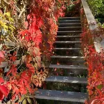 公寓 Loft-wohnung Mit Ausblick Und Terrasse *