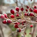 公寓 Loft-wohnung Mit Ausblick Und Terrasse