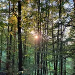 Loft-wohnung Mit Ausblick Und Terrasse 科堡