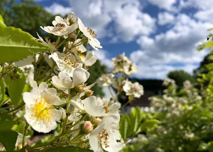 Lägenhet Loft-wohnung Mit Ausblick Und Terrasse *