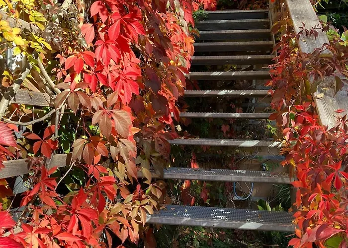 Lägenhet Loft-wohnung Mit Ausblick Und Terrasse *