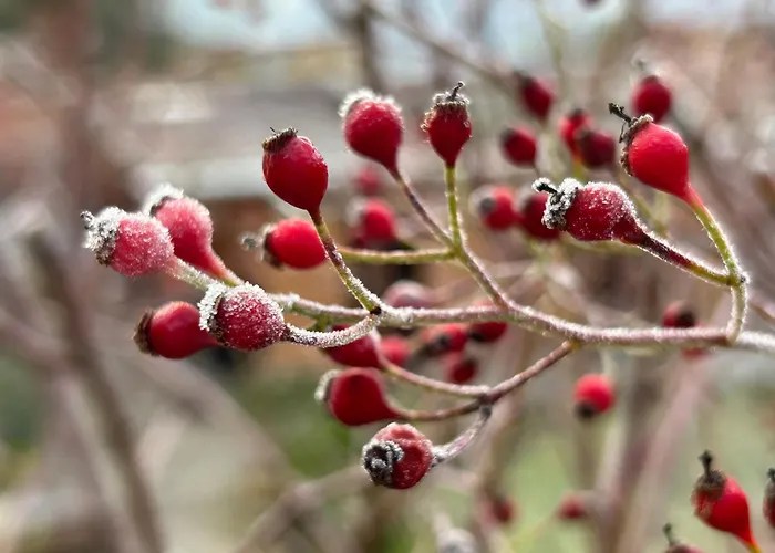 Lägenhet Loft-wohnung Mit Ausblick Und Terrasse