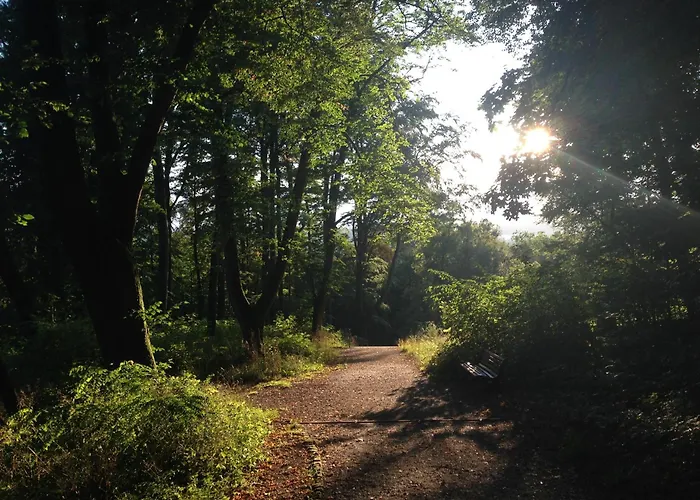 Loft-wohnung Mit Ausblick Und Terrasse Coburg