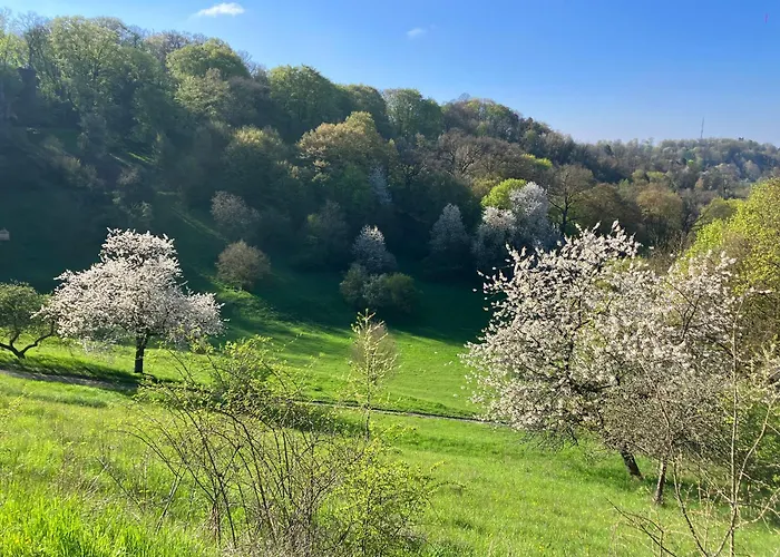 Loft-wohnung Mit Ausblick Und Terrasse Lägenhet *