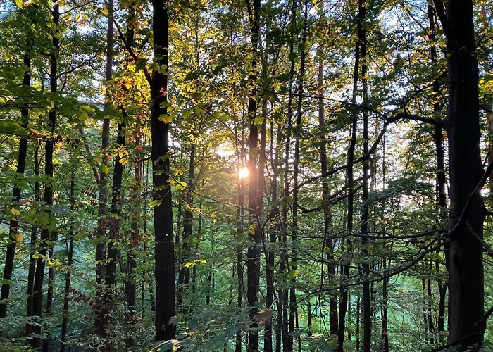 Loft-wohnung Mit Ausblick Und Terrasse Coburg